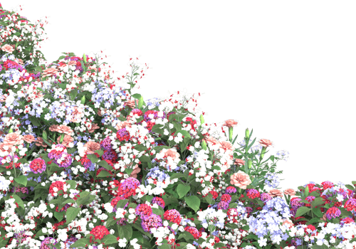 Grass with flowers isolated on transparent background. 3d rendering - illustration png