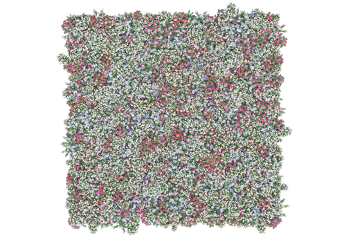 Grass with flowers isolated on transparent background. 3d rendering - illustration png