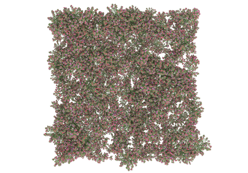 Grass with flowers isolated on transparent background. 3d rendering - illustration png