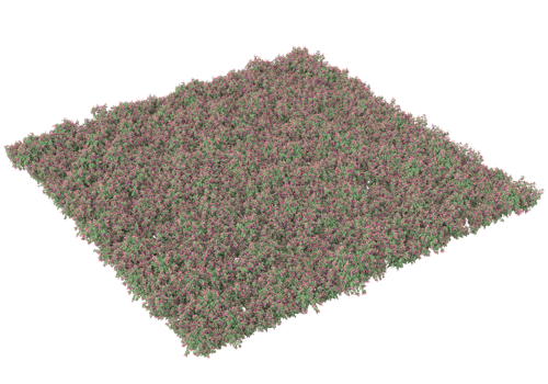 Grass with flowers isolated on transparent background. 3d rendering - illustration png