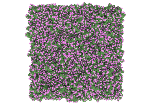 Grass with flowers isolated on transparent background. 3d rendering - illustration png