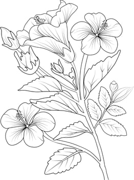 Flowers coloring book,Vector sketch of hibiscus flowers, Hand drawn sharaon flower, collection of botanical leaf bud illustration engraved ink art style. vector