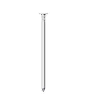 Vector illustration of Nail