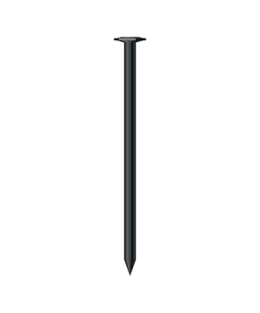 Vector illustration of Nail