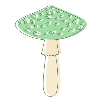 Green Amanita mushroom. Edible Organic mushrooms. Truffle. Forest wild mushrooms types. Colorful vector illustration isolated on white background.