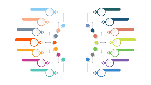 Infographic with 14 steps, process or options. png