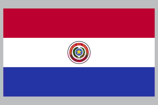 flag paraguay vector