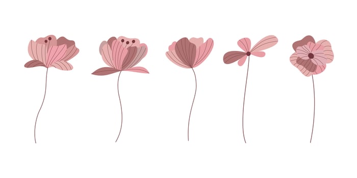 Collection of pink flower in vintage style vector