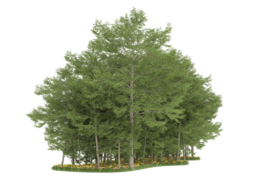 Realistic forest isolated on transparent background. 3d rendering - illustration png