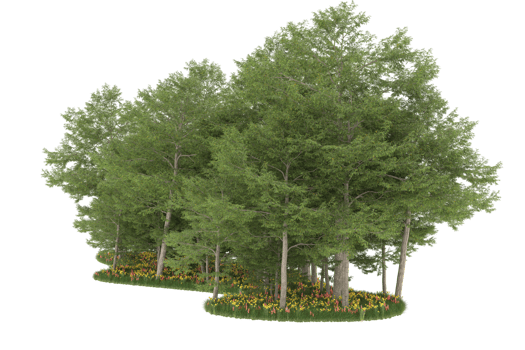 Realistic forest isolated on transparent background. 3d rendering - illustration png