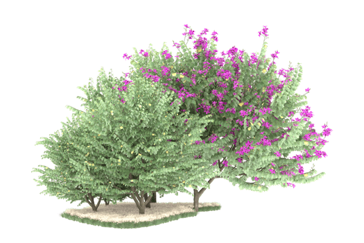 Realistic forest isolated on transparent background. 3d rendering - illustration png