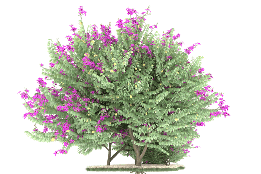 Realistic forest isolated on transparent background. 3d rendering - illustration png