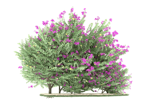 Realistic forest isolated on transparent background. 3d rendering - illustration png