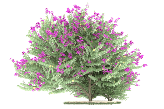 Realistic forest isolated on transparent background. 3d rendering - illustration png