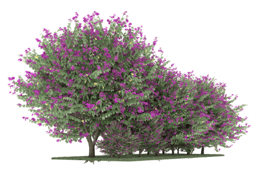 Realistic forest isolated on transparent background. 3d rendering - illustration png