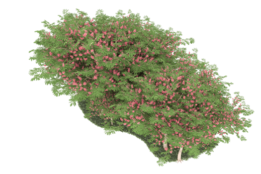 Realistic forest isolated on transparent background. 3d rendering - illustration png