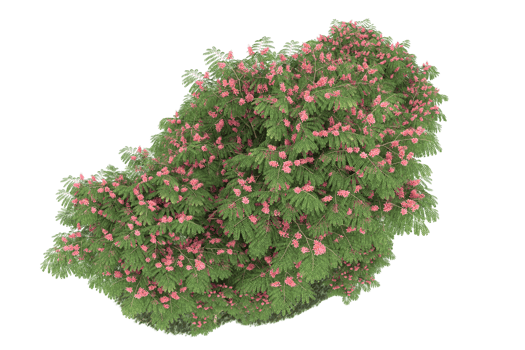 Realistic forest isolated on transparent background. 3d rendering - illustration png