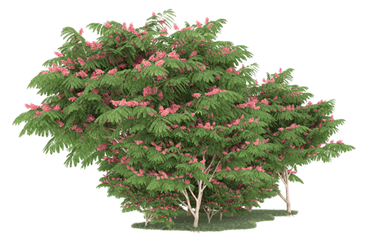 Realistic forest isolated on transparent background. 3d rendering - illustration png