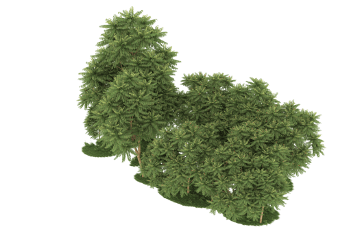 Realistic forest isolated on transparent background. 3d rendering - illustration png