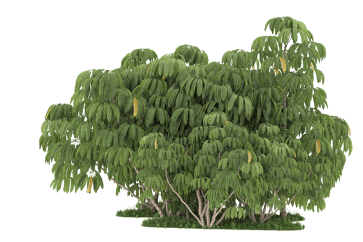 Realistic forest isolated on transparent background. 3d rendering - illustration png