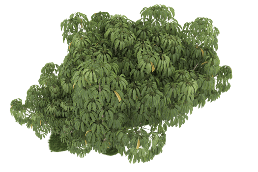 Realistic forest isolated on transparent background. 3d rendering - illustration png