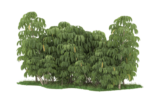 Realistic forest isolated on transparent background. 3d rendering - illustration png
