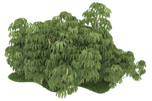 Realistic forest isolated on transparent background. 3d rendering - illustration png