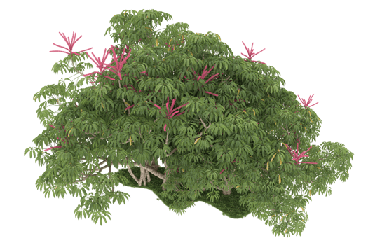 Realistic forest isolated on transparent background. 3d rendering - illustration png