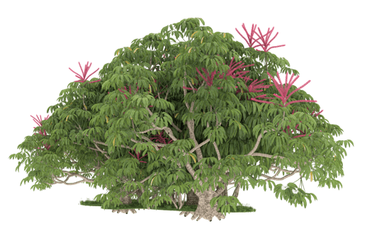Realistic forest isolated on transparent background. 3d rendering - illustration png