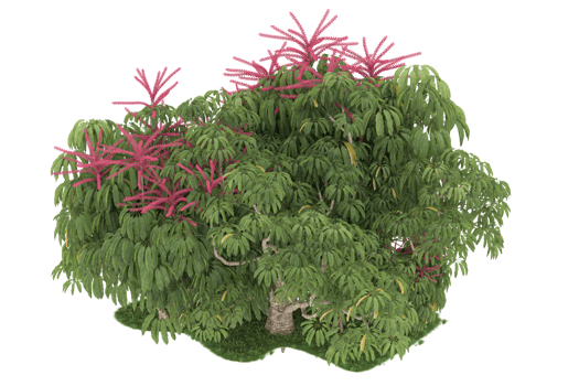 Realistic forest isolated on transparent background. 3d rendering - illustration png