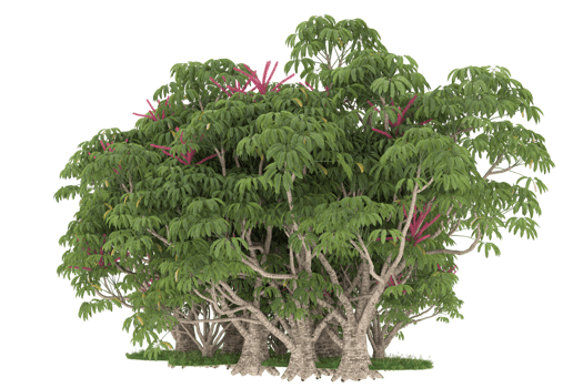 Realistic forest isolated on transparent background. 3d rendering - illustration png