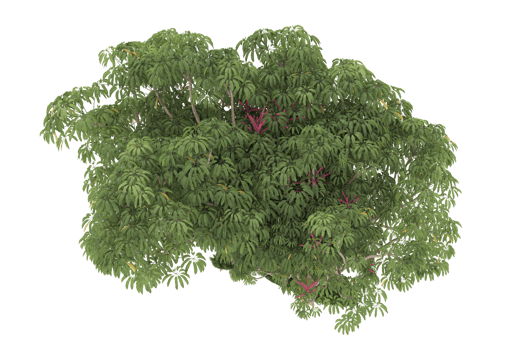Realistic forest isolated on transparent background. 3d rendering - illustration png