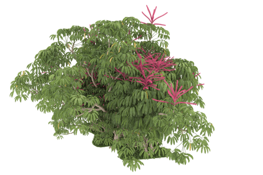 Realistic forest isolated on transparent background. 3d rendering - illustration png