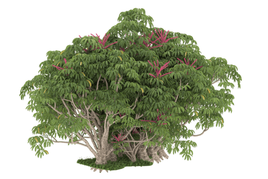Realistic forest isolated on transparent background. 3d rendering - illustration png