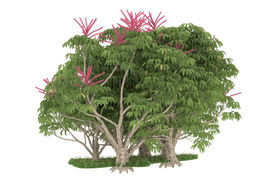 Realistic forest isolated on transparent background. 3d rendering - illustration png