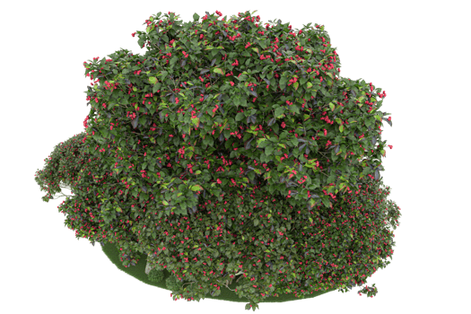 Realistic forest isolated on transparent background. 3d rendering - illustration png