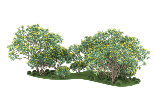 Realistic forest isolated on transparent background. 3d rendering - illustration png