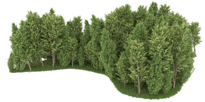 Realistic forest isolated on transparent background. 3d rendering - illustration png