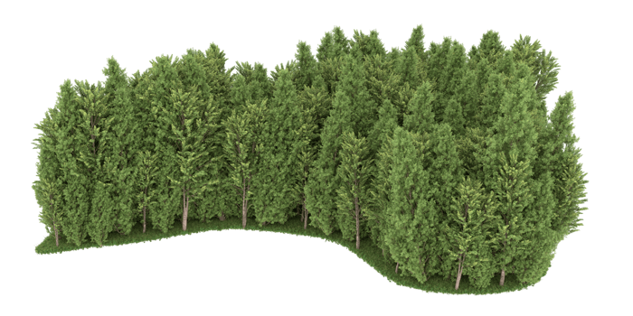 Realistic forest isolated on transparent background. 3d rendering - illustration png