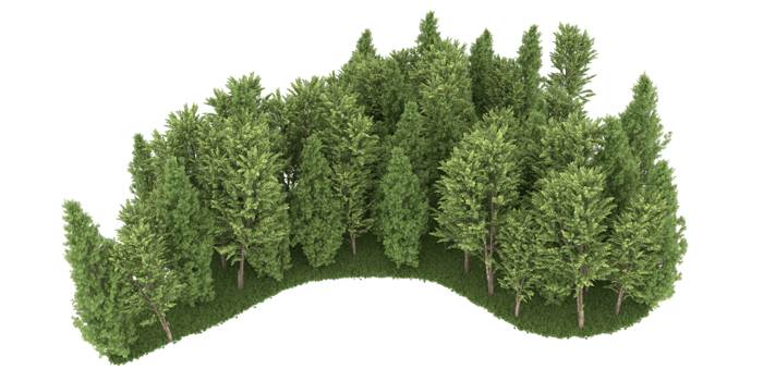 Realistic forest isolated on transparent background. 3d rendering - illustration png