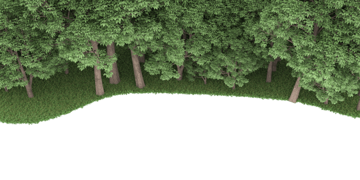 Realistic forest isolated on transparent background. 3d rendering - illustration png