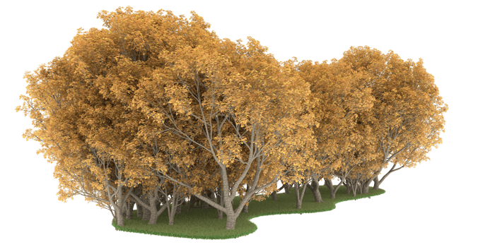 Realistic forest isolated on transparent background. 3d rendering - illustration png