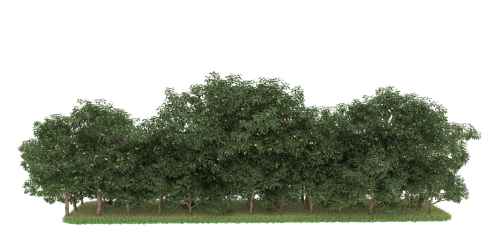 Realistic forest isolated on transparent background. 3d rendering - illustration png
