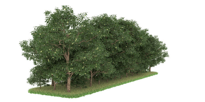 Realistic forest isolated on transparent background. 3d rendering - illustration png