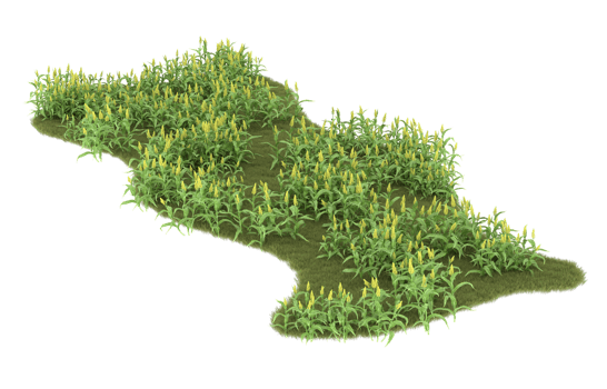 Realistic foliage isolated on transparent background. 3d rendering - illustration png