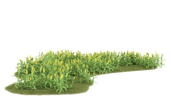 Realistic foliage isolated on transparent background. 3d rendering - illustration png