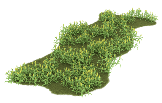 Realistic foliage isolated on transparent background. 3d rendering - illustration png