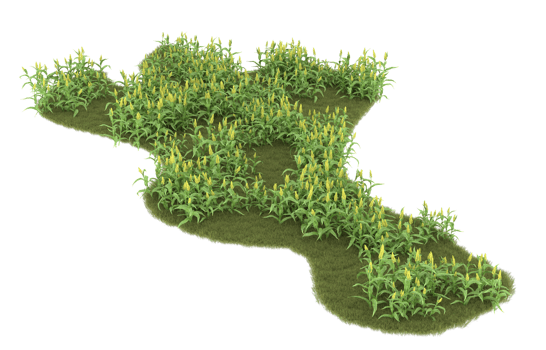 Realistic foliage isolated on transparent background. 3d rendering - illustration png