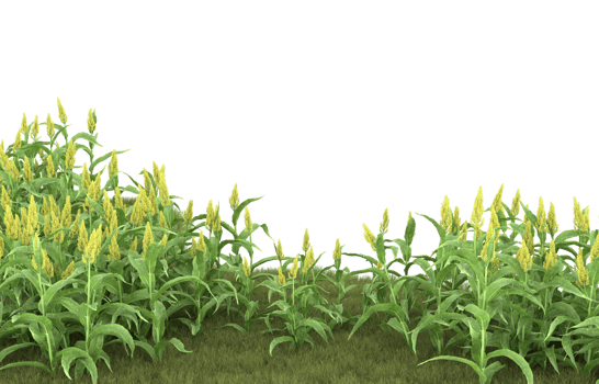 Realistic foliage isolated on transparent background. 3d rendering - illustration png