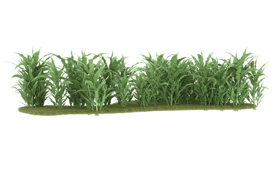 Realistic foliage isolated on transparent background. 3d rendering - illustration png